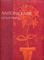 La luz pinta. Antonio Mir - Haga click para ampliar